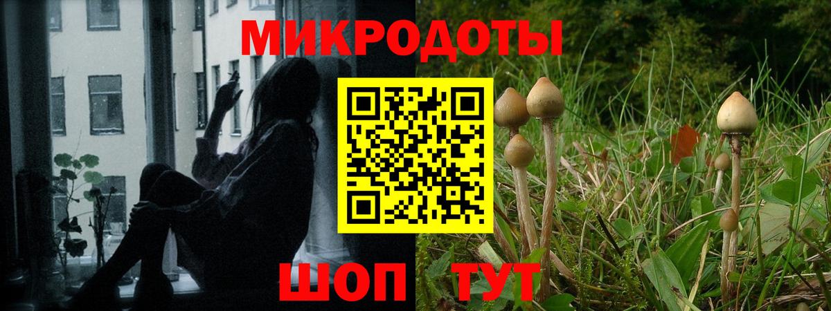 Галлюциногенные грибы ЛСД Карталы