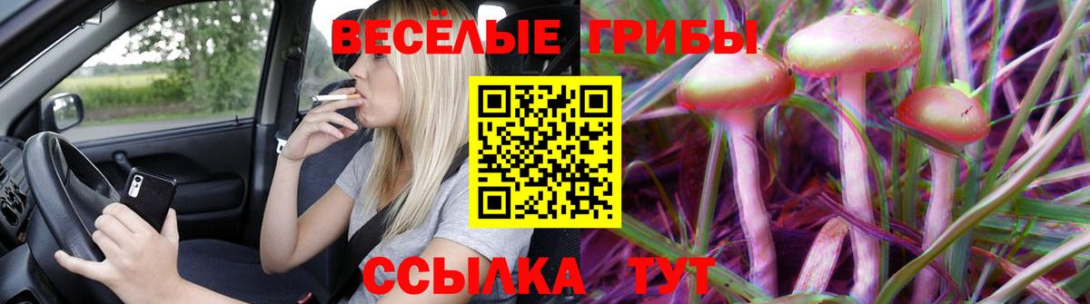 Галлюциногенные грибы Psilocybine cubensis  Вход с VPN  Карталы 